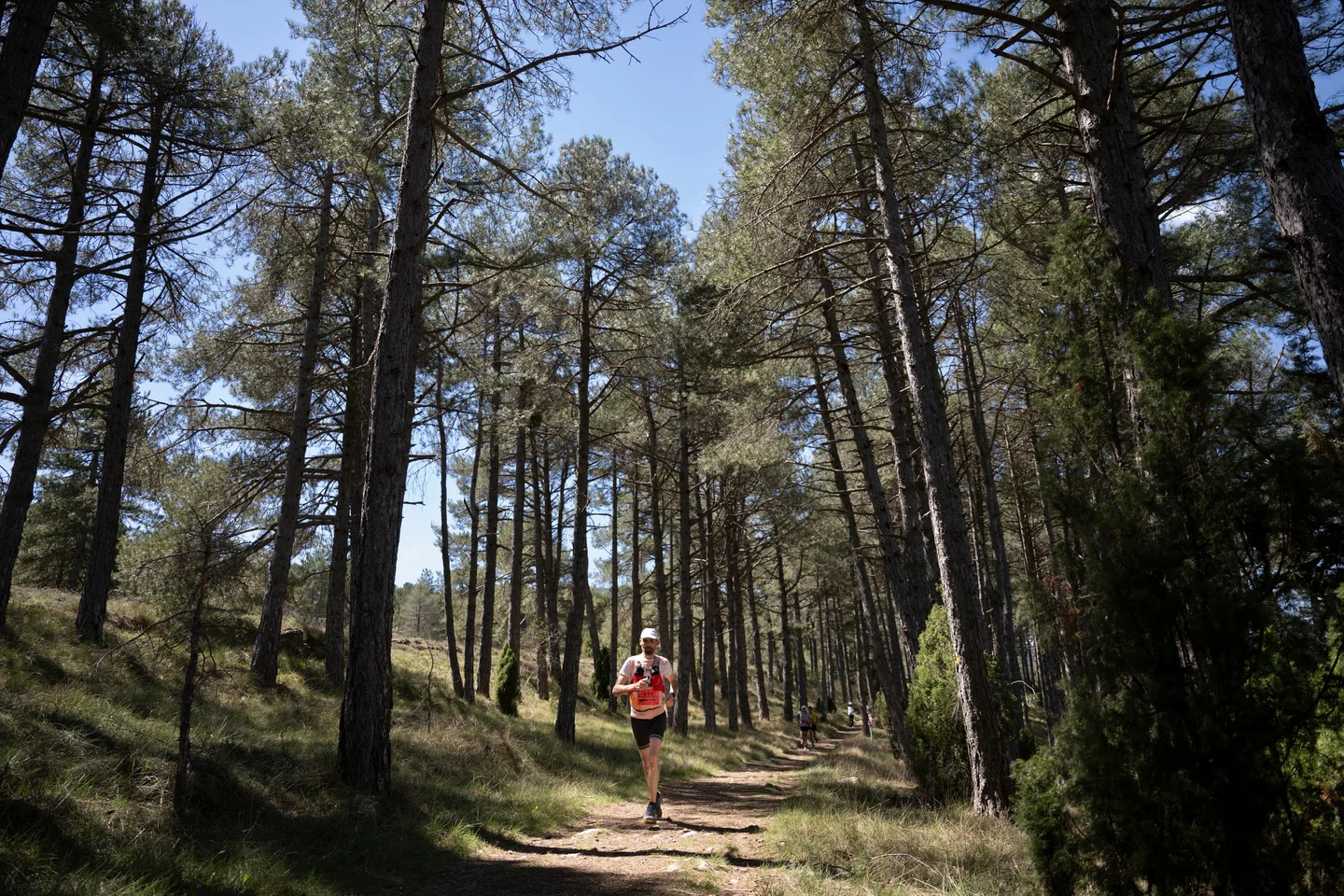 Corredora avanzando por un sendero entre pinos