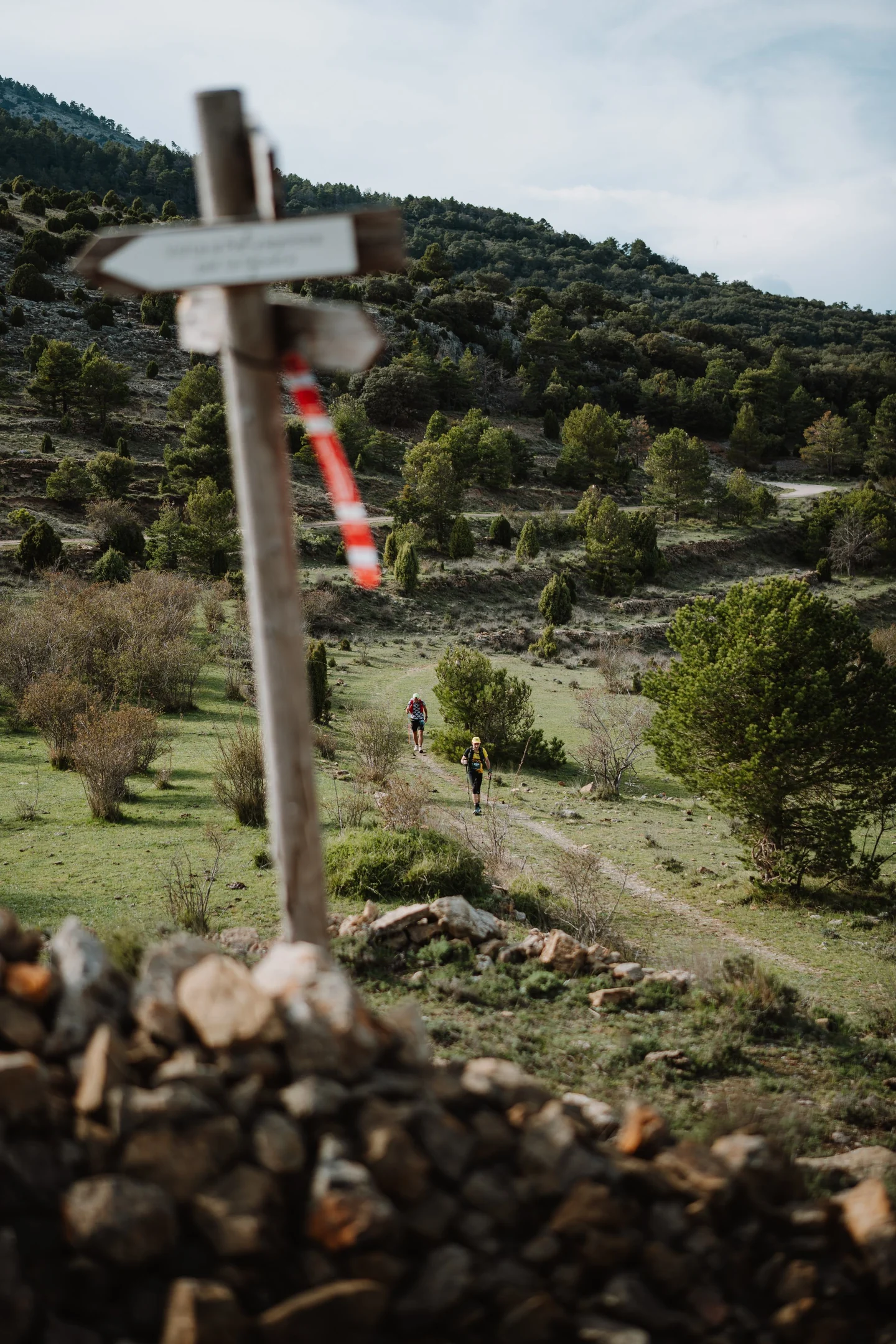 Señal de senderos junto a un camino en un paisaje de montaña