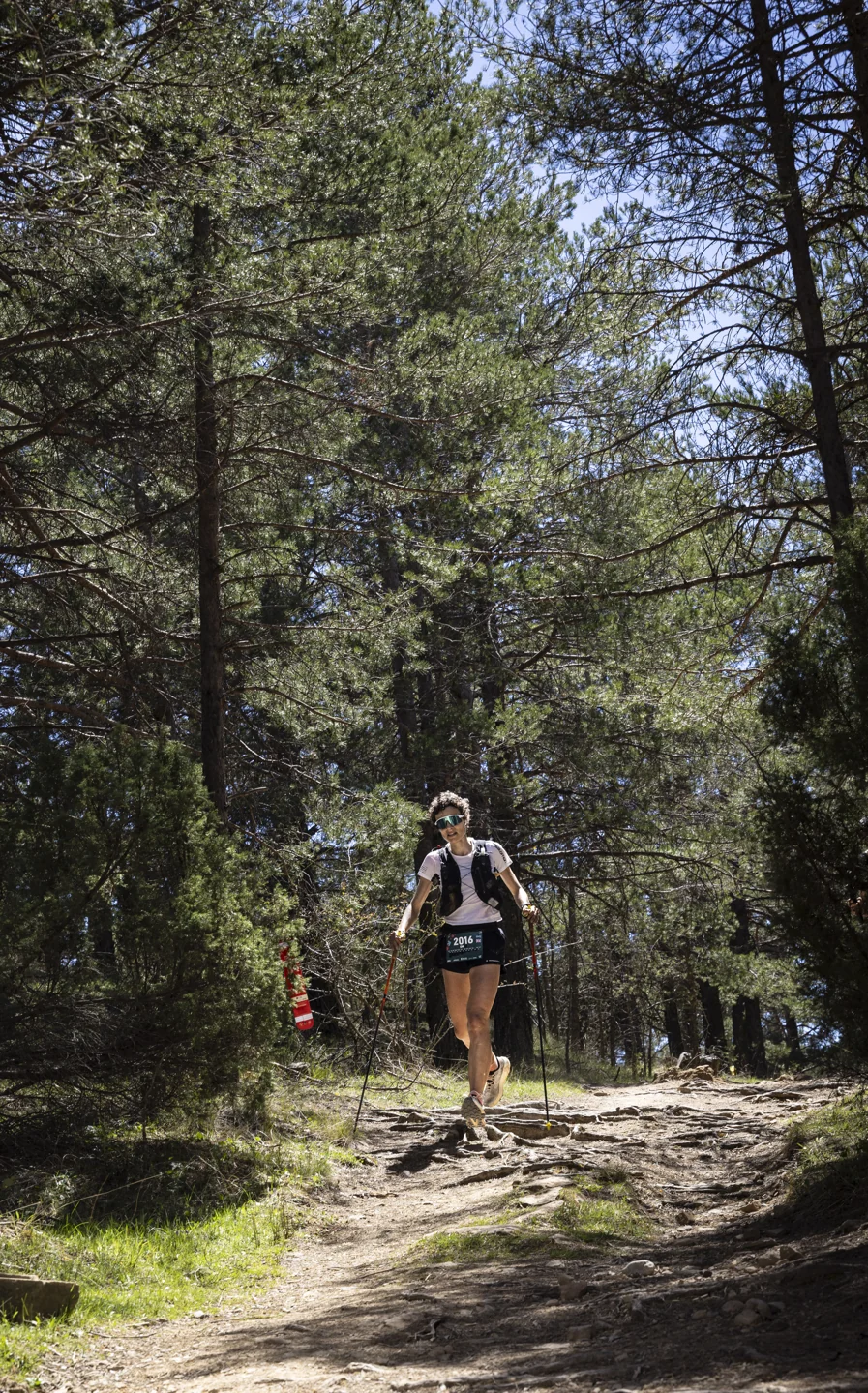 Corredor en un sendero entre pinos