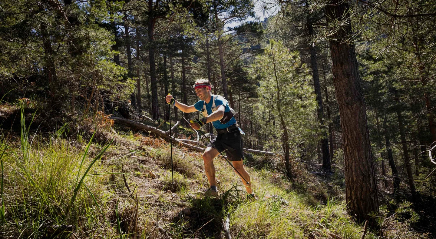 Corredor con bastones subiendo por un sendero entre pinos